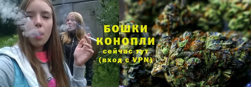 Шишки марихуана Ganja  Липки 